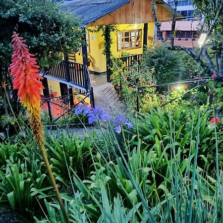 Hotel Brisas Del Nevado Guican Eksteriør billede